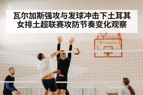 volleyball block defense net