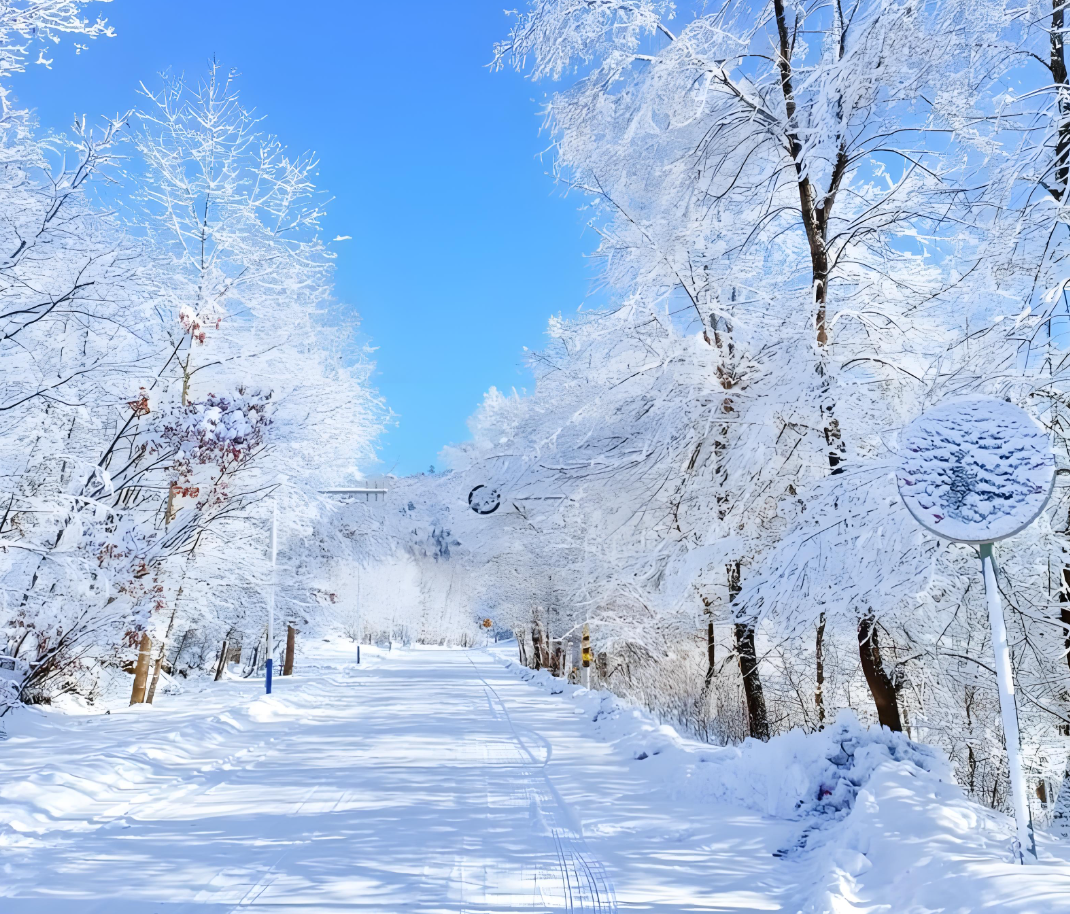 九游娱乐网站-温馨！零下37度，胡明轩冰天雪地中，给球迷签名
